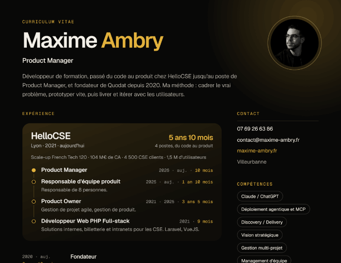 Aperçu du CV dark mode